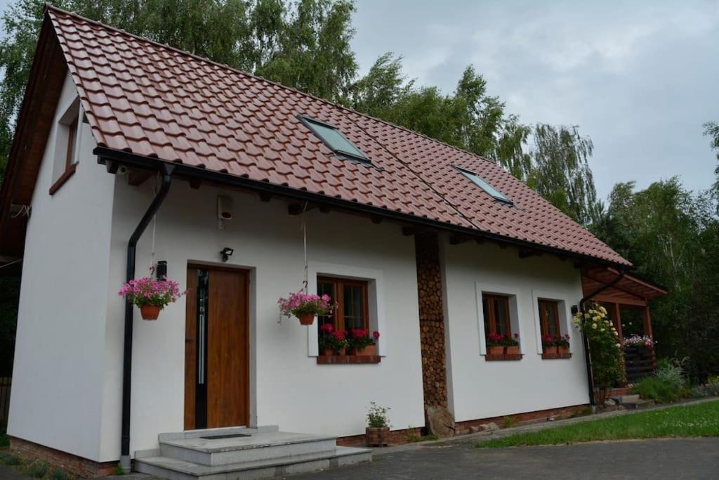 Large * Czapiewice